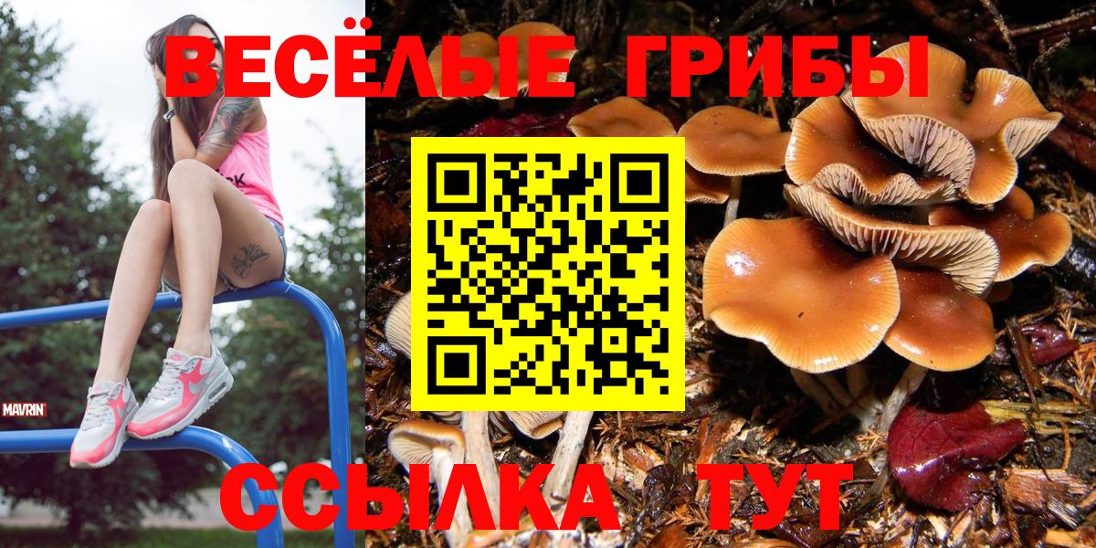Псилоцибиновые грибы мицелий  Вход с VPN  Петропавловск-Камчатский 